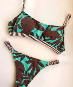 Gaia asia celeste y marrón